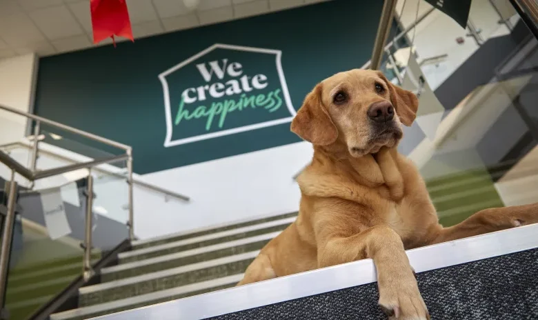 IPN opens £6m head office and distribution centre in Thirsk