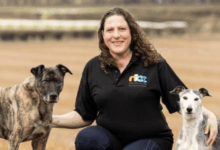 Canine Principles partners with BSAVA PetSavers