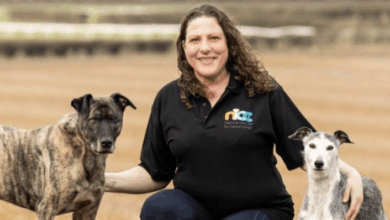 Canine Principles partners with BSAVA PetSavers
