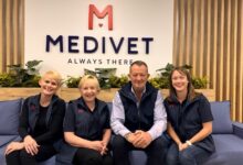 Medivet hires four senior directors to expand partnership model