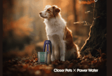 Pawer Water and Closer Pets unveil joint hydration bundle for dogs