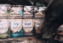 Instinct calls for meat with Carnilove wet food pouches