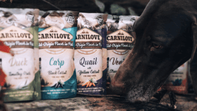 Instinct calls for meat with Carnilove wet food pouches