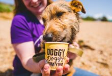 Doggy Doggy Yum Yum manufacturer launches £300k crowdfund