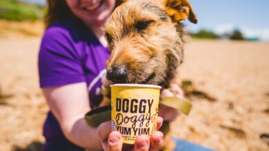 Doggy Doggy Yum Yum manufacturer launches £300k crowdfund