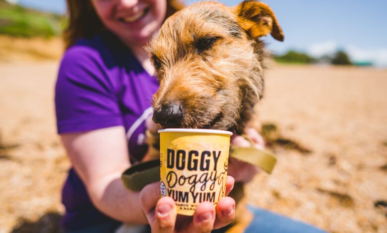 Doggy Doggy Yum Yum manufacturer launches £300k crowdfund