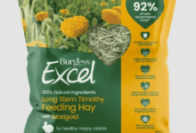 Burgess Pet Care adds two new premium feeding hays to Excel range