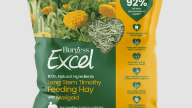 Burgess Pet Care adds two new premium feeding hays to Excel range