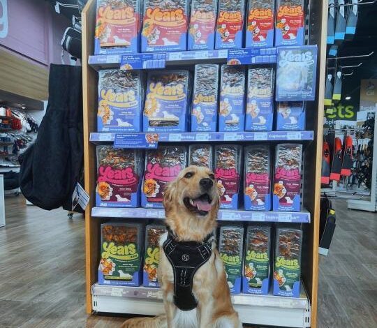 Just for Pets launches fresh dog food brand Years across UK stores