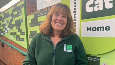 Edinburgh Dog and Cat Home appoints new chief executive