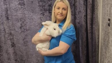 WHM Pet donates feed and funds to Rabbit Rescue Northwest