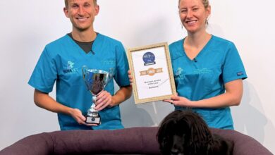 Behavet wins PetQuip award for business service