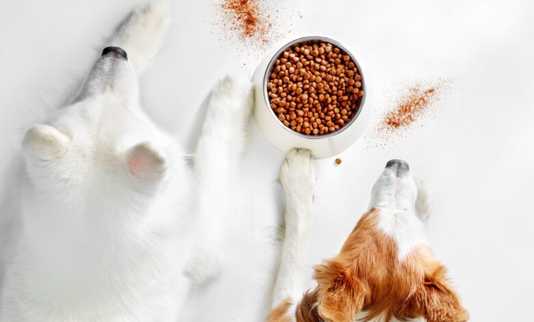 Gambol Pet and Aker QRILL Company form global strategic partnership