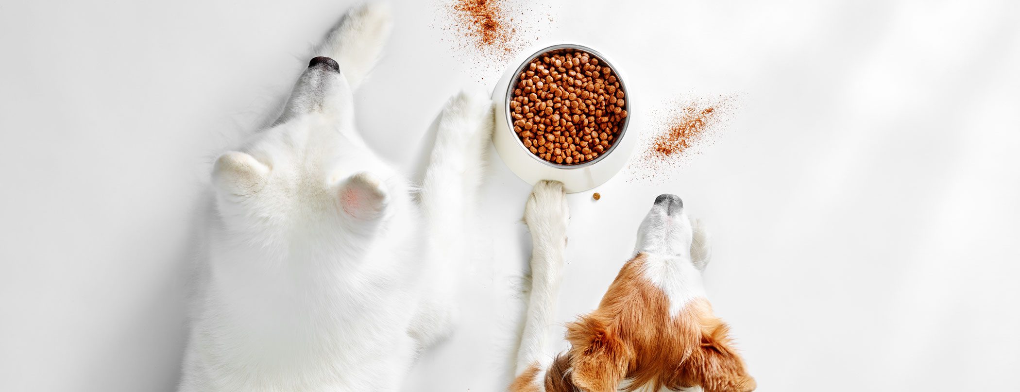 Gambol Pet and Aker QRILL Company form global strategic partnership