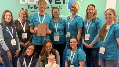 Behavet wins national DogFriendly award for second year