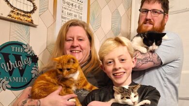 My Three Cats expands into Blackpool with first franchise launch