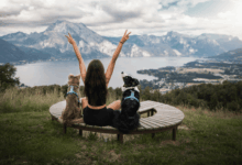 Non-stop Dogwear secures ISO certifications