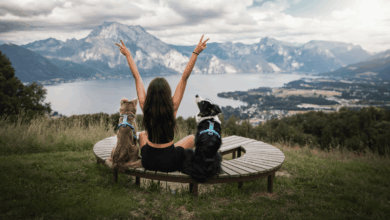 Non-stop Dogwear secures ISO certifications