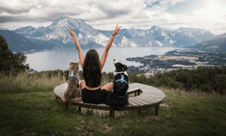 Non-stop Dogwear secures ISO certifications