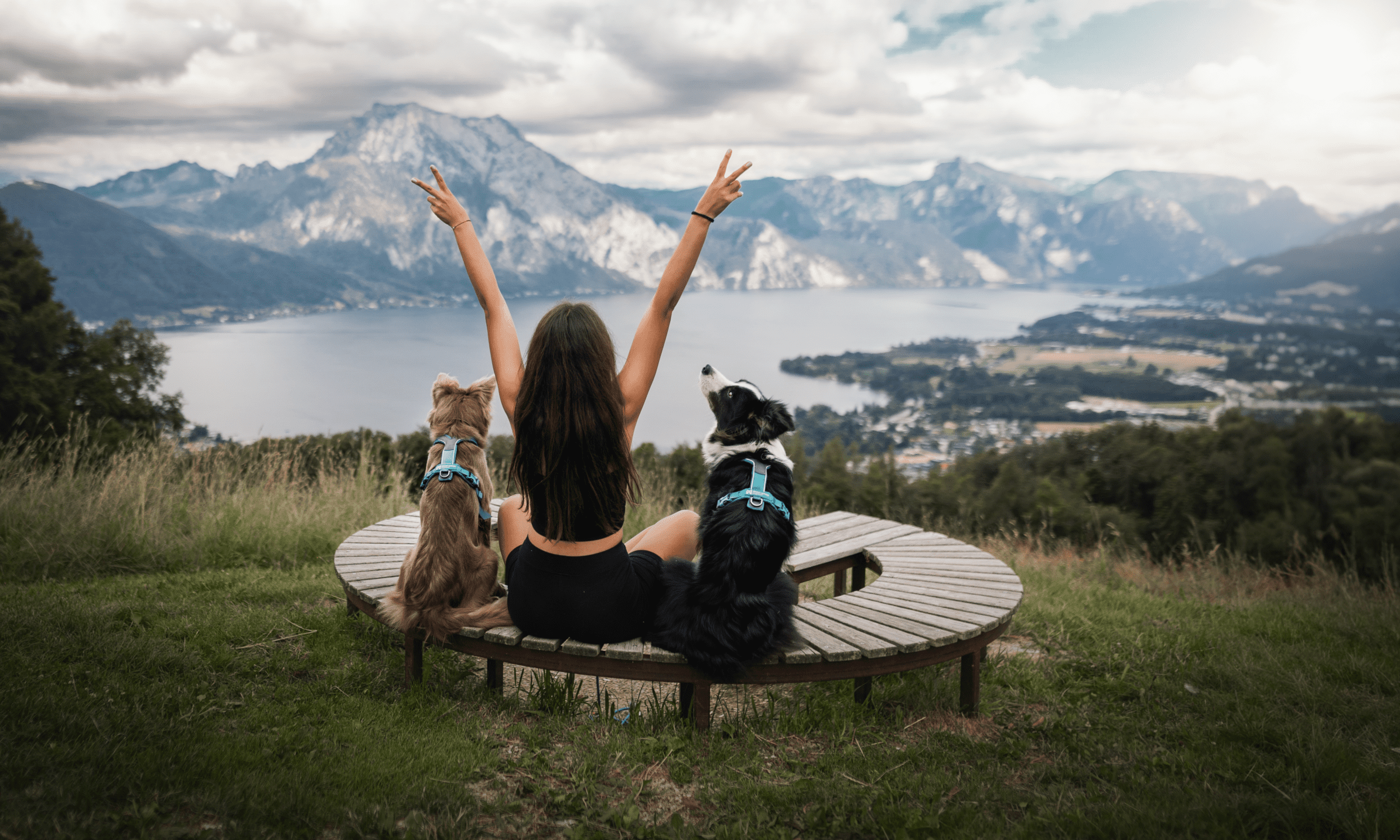 Non-stop Dogwear secures ISO certifications