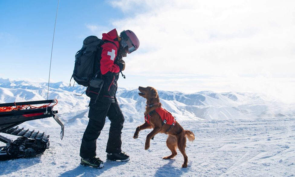 Nulo launches in UK with Pets at Home partnership