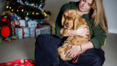 Tom Grennan backs RSPCA winter appeal