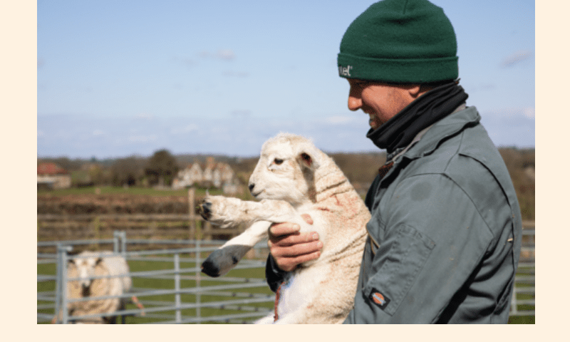 RSPCA launches Animal Welfare Evidence Centre