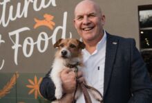 Pets Corner appoints Nick Anderson as chief retail officer
