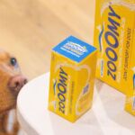 Zooomy launches affiliate programme to support dog professionals