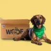 Paleo Ridge launches Rescue Dog Club to aid rescue charities