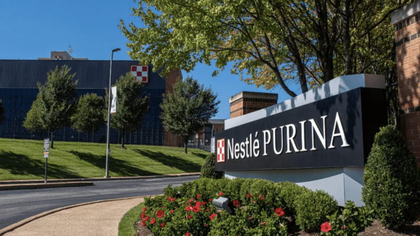 Nestle sees pet food slowdown despite cat care boost