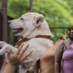 Mars launches Mars Impact Fund