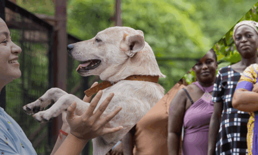 Mars launches Mars Impact Fund