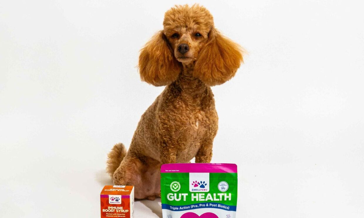 Wellpaws secures national distribution with Vital Pet Group