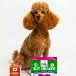 Wellpaws secures national distribution with Vital Pet Group