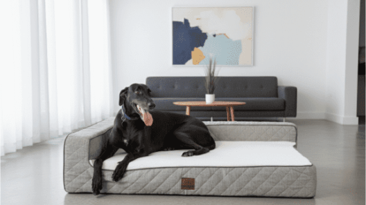 Closer Pets partners with vet and NHS sleep expert