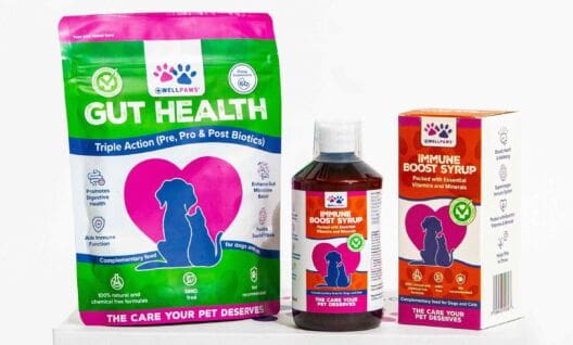 WellPaws plans international expansion amid distribution deals
