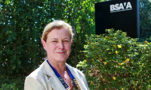 BSAVA elects Susan Little as president