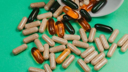 PIF unveils screening tool for pet supplement marketing